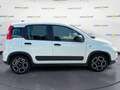 Fiat Panda My21 1.0 70cv Hybrid City Life Blanc - thumbnail 4