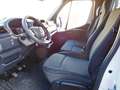 Renault Master Master T35 2.3 dCi 135 PM Cabinato Ice CASSONE FI Blanc - thumbnail 7
