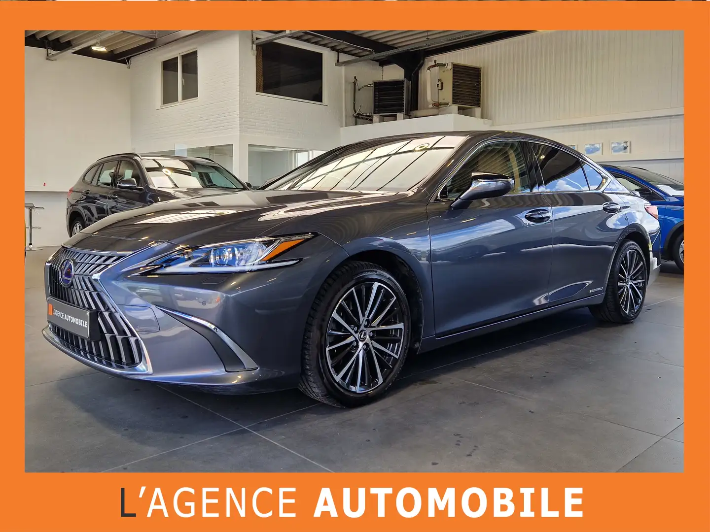 Lexus ES 300 ES 300h 2.5i Executive Line - Garantie 04/32 Gris - 1