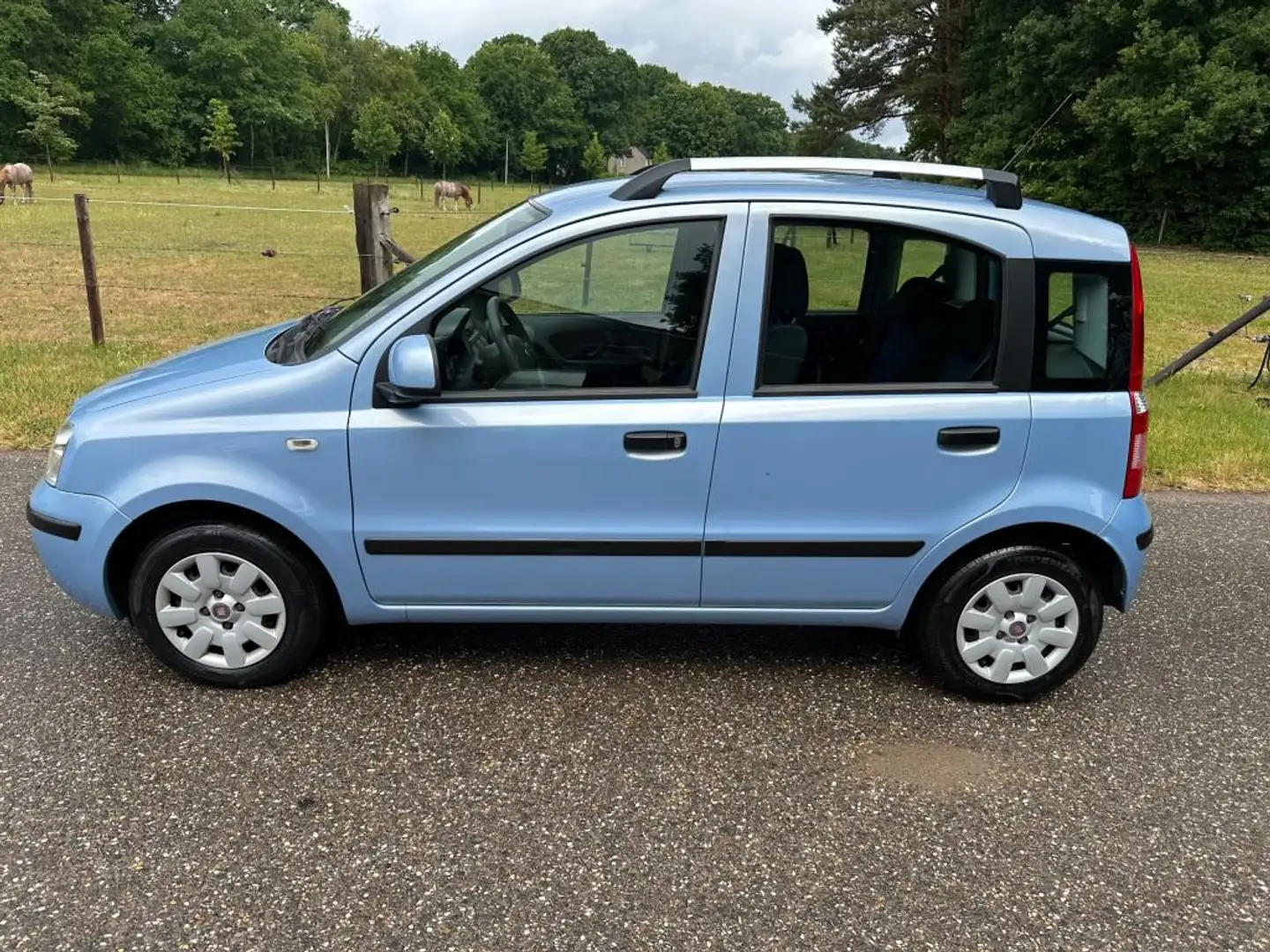 Fiat Panda 1.2 Edizione Cool Blauw - 2