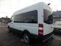 Mercedes-Benz Sprinter II Kombi 316 Benzin/LPG Gas/Automatik Weiß - thumbnail 3