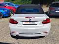 BMW 220 220i Cabrio Sport Line Navi SHZ PDC Tempomat Klima White - thumbnail 6