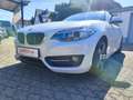 BMW 220 220i Cabrio Sport Line Navi SHZ PDC Tempomat Klima White - thumbnail 2