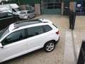 Skoda Karoq 1.0 TSI HIGHLINE PANO DAK TREKHAAK Wit - thumbnail 13