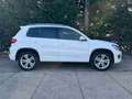 Volkswagen Tiguan 2.0 TSI 4Motion 3X R line Nieuwe Motor 120dkm Pano Weiß - thumbnail 19