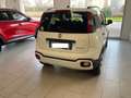 Fiat Panda Panda III 2021 Cross 1.0 firefly hybrid Cross s Bianco - thumbnail 4