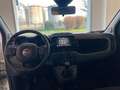 Fiat Panda Panda III 2021 Cross 1.0 firefly hybrid Cross s Bianco - thumbnail 8
