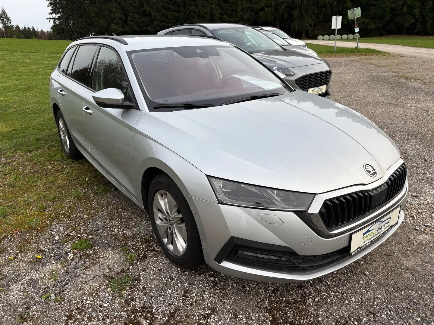 Skoda Octavia Ambition Grau - 2