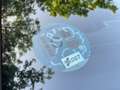 SEAT Arona 1.0 TSI S&S FR 110 Gris - thumbnail 4