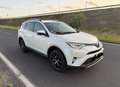 Toyota RAV 4 Hybrid Weiß - thumbnail 3