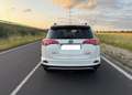 Toyota RAV 4 Hybrid Weiß - thumbnail 6