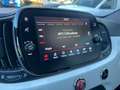 Fiat 500 500 1.0 Hybrid Blanc - thumbnail 12