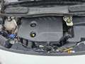 Ford Transit Connect 1.5 Diesel Kombi Trend verstellbarer Gitter Wit - thumbnail 19