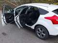 Ford Focus Focus Easy 1,0 EcoBoost Easy Weiß - thumbnail 4