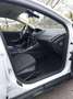 Ford Focus Focus Easy 1,0 EcoBoost Easy Weiß - thumbnail 12