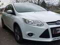 Ford Focus Focus Easy 1,0 EcoBoost Easy Weiß - thumbnail 10