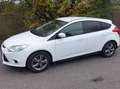 Ford Focus Focus Easy 1,0 EcoBoost Easy Weiß - thumbnail 2
