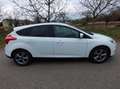 Ford Focus Focus Easy 1,0 EcoBoost Easy Weiß - thumbnail 8