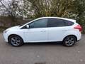 Ford Focus Focus Easy 1,0 EcoBoost Easy Weiß - thumbnail 3