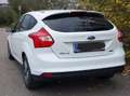 Ford Focus Focus Easy 1,0 EcoBoost Easy Weiß - thumbnail 5