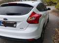 Ford Focus Focus Easy 1,0 EcoBoost Easy Weiß - thumbnail 7