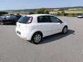 Fiat Punto Easy Weiß - thumbnail 3