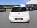 Fiat Punto Easy Weiß - thumbnail 6