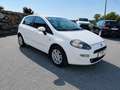 Fiat Punto Easy Weiß - thumbnail 2