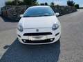 Fiat Punto Easy Weiß - thumbnail 5