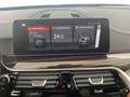 BMW 525 BMW 5 Lim. 525d Luxury Line Zwart - thumbnail 19