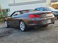 BMW 640 i Cabrio Individual PROF.+LEDER+HEAD-UP+360° Brun - thumbnail 5