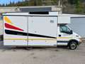 Iveco DAILY 50 C 15 Bianco - thumbnail 2