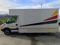 Iveco DAILY 50 C 15 Bianco - thumbnail 4