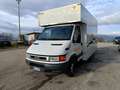 Iveco DAILY 50 C 15 Bianco - thumbnail 1
