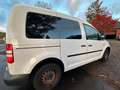 Volkswagen Caddy Kombi Weiß - thumbnail 11