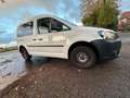 Volkswagen Caddy Kombi Weiß - thumbnail 3