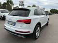 Audi Q5 40 TDI 204 CV quattro S tronic Business Advanced Bianco - thumbnail 4