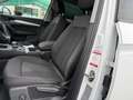 Audi Q5 40 TDI 204 CV quattro S tronic Business Advanced Bianco - thumbnail 8