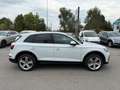 Audi Q5 40 TDI 204 CV quattro S tronic Business Advanced Bianco - thumbnail 5