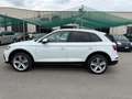 Audi Q5 40 TDI 204 CV quattro S tronic Business Advanced Bianco - thumbnail 2