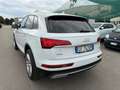 Audi Q5 40 TDI 204 CV quattro S tronic Business Advanced Bianco - thumbnail 3