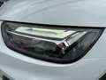 Audi Q5 40 TDI 204 CV quattro S tronic Business Advanced Bianco - thumbnail 17