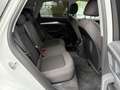 Audi Q5 40 TDI 204 CV quattro S tronic Business Advanced Bianco - thumbnail 11