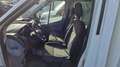 Ford TRANSIT FRIGO -20  2.0 TDC-I 170cv FRIGO -20 Wit - thumbnail 10