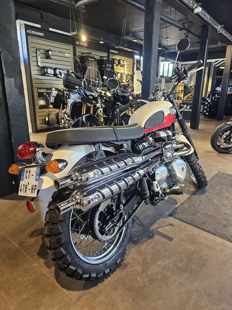 Triumph Scrambler Wit - 2