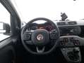 Fiat Panda City Life 1.0 Mild Hybrid 70CV Bianco - thumbnail 11