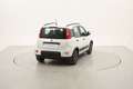 Fiat Panda City Life 1.0 Mild Hybrid 70CV Bianco - thumbnail 5