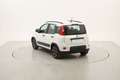 Fiat Panda City Life 1.0 Mild Hybrid 70CV Bianco - thumbnail 3