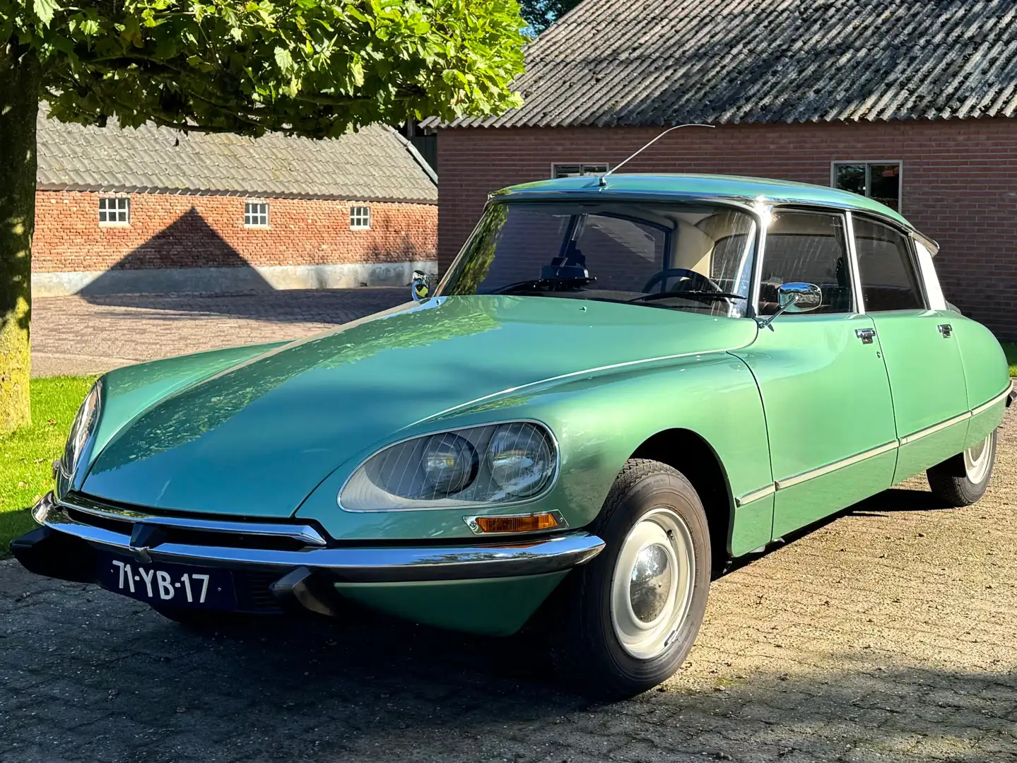 Citroen DS D Super Zielony - 2