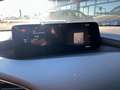 Mazda CX-30 CX-30 2.0 m-hybrid Homura 2wd 150cv 6mt Vert - thumbnail 19
